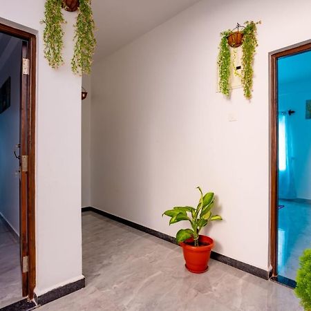 Вілла Goan Fiesta Studio Calangute Goa Екстер'єр фото